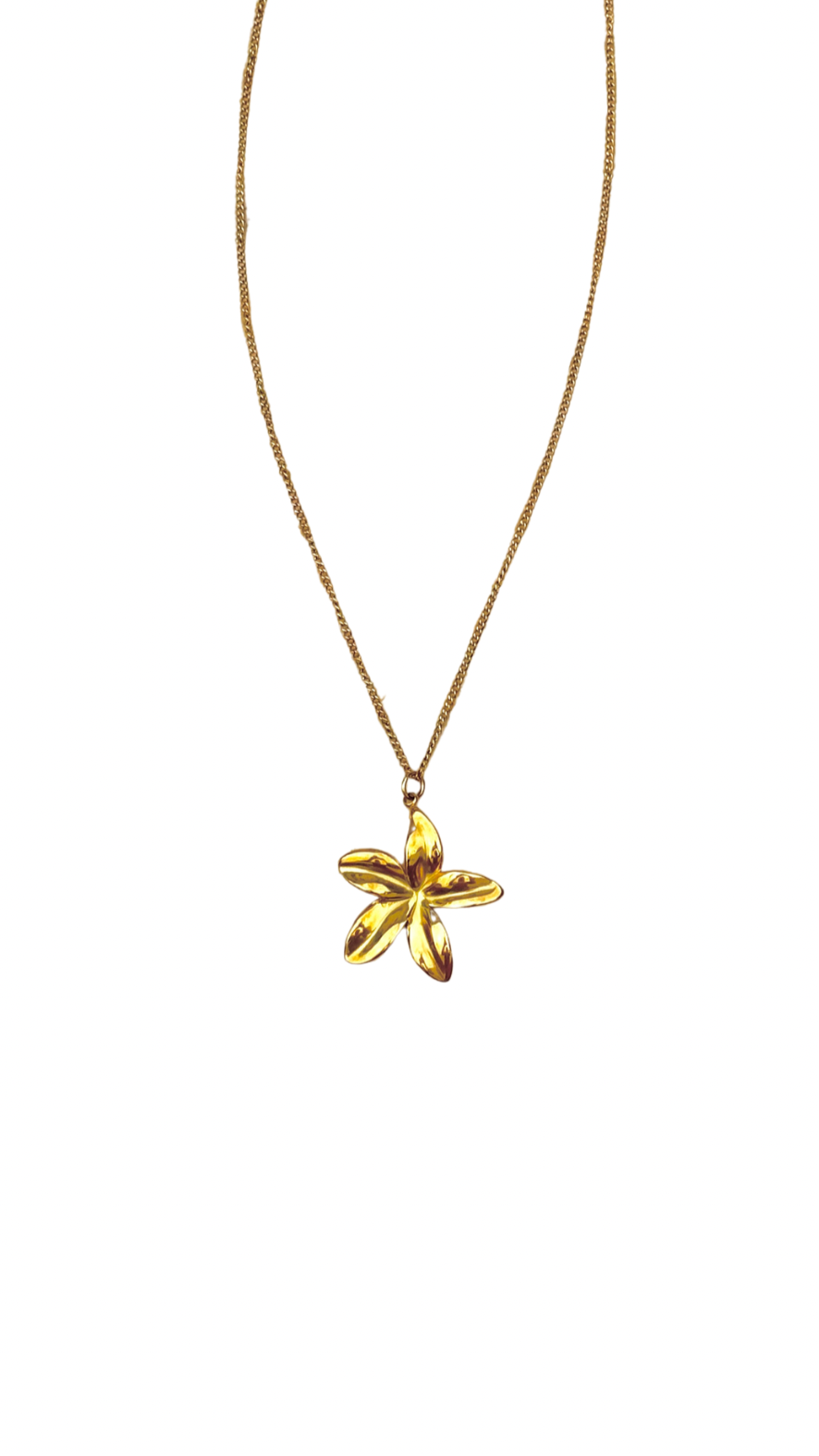 Flor del Alba