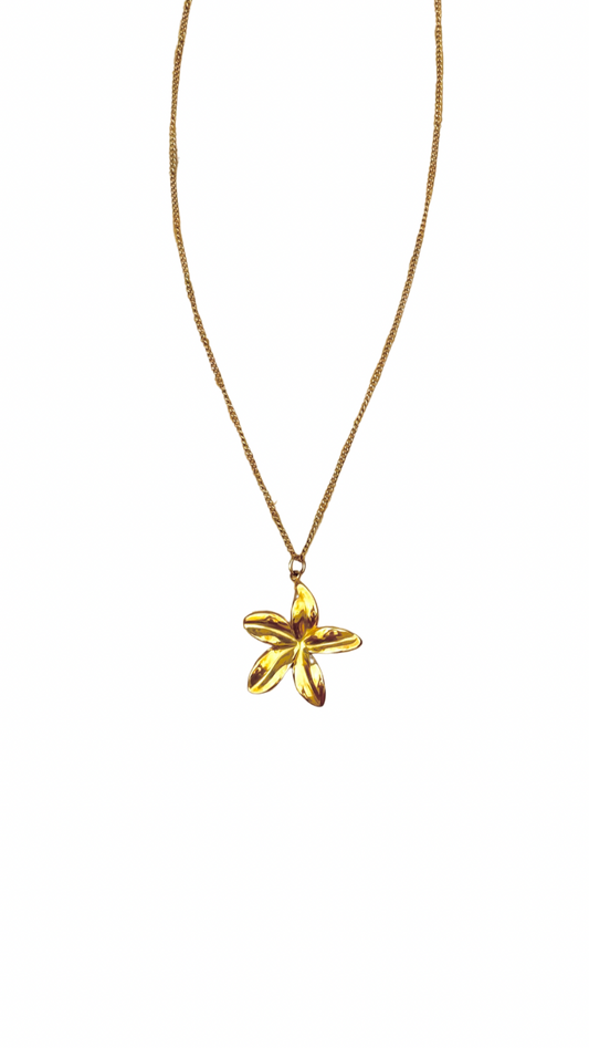 Flor del Alba