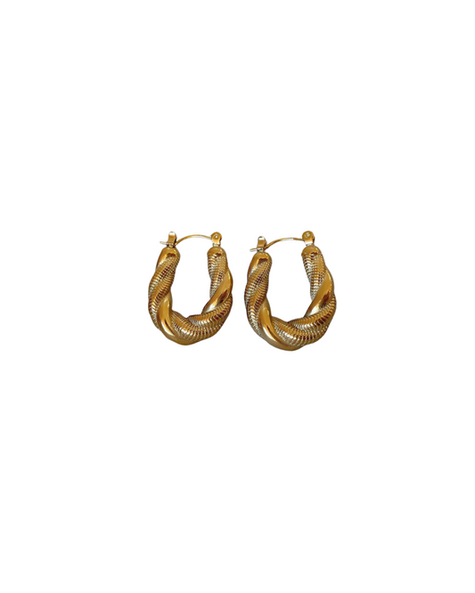 Spiral Earrings
