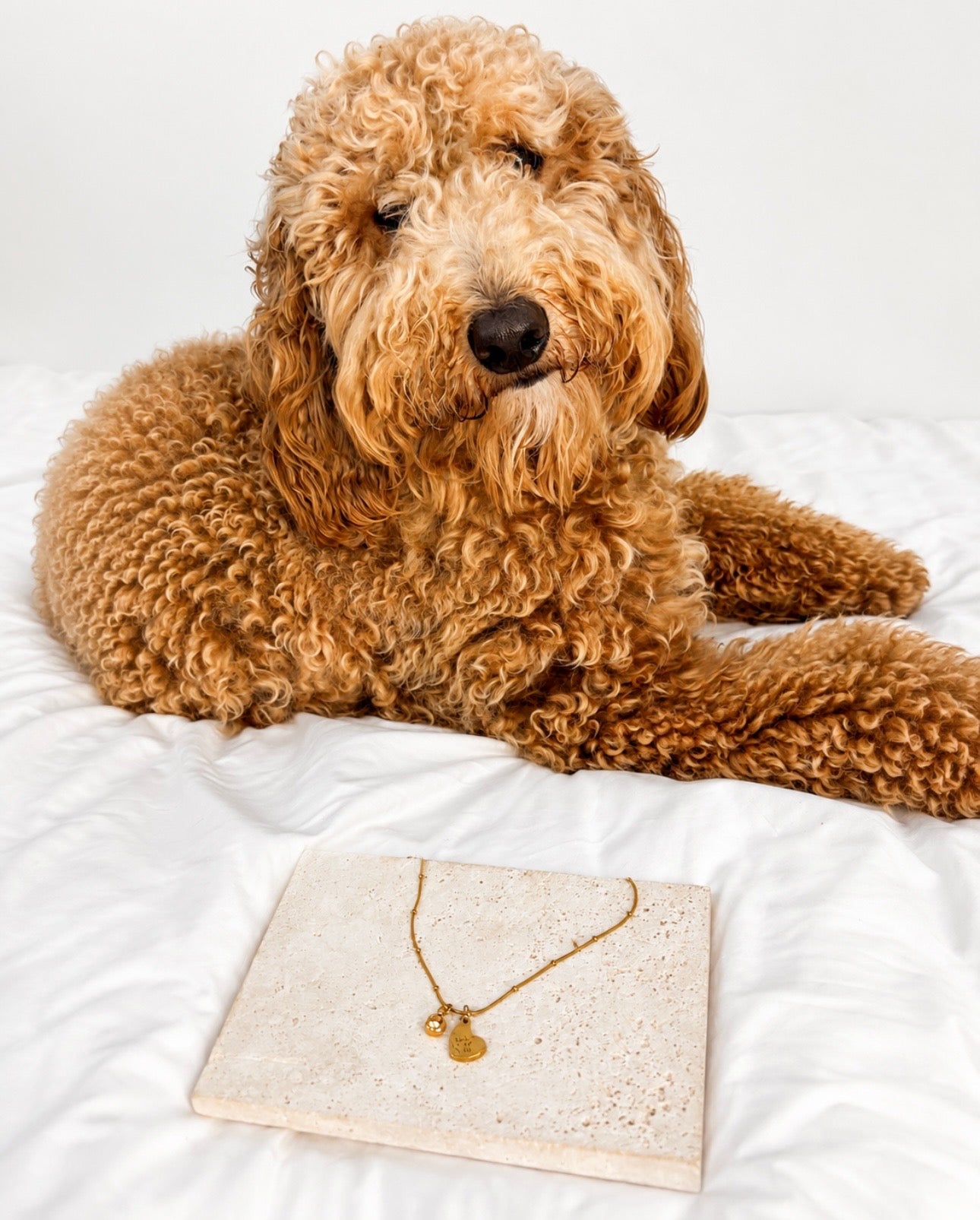 Valentino’s Necklace